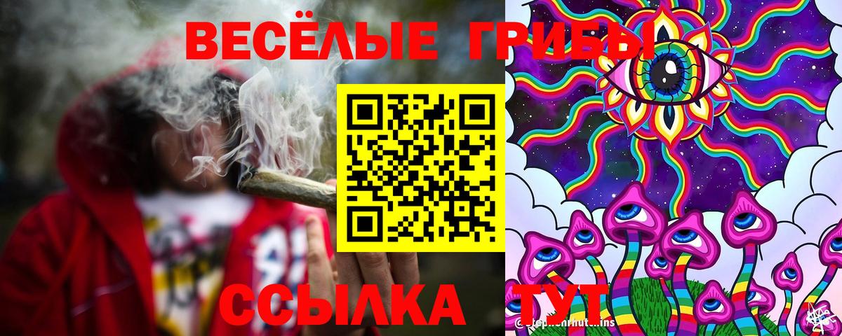 Галлюциногенные грибы Psilocybine cubensis  Вход с VPN  Долгопрудный 